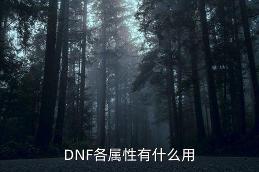 DNF各属性有什么用