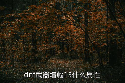 dnf武器增幅13什么属性