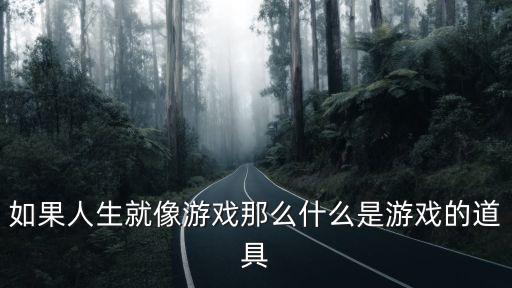 如果人生就像游戏那么什么是游戏的道具