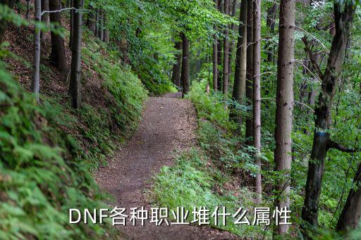 DNF各种职业堆什么属性