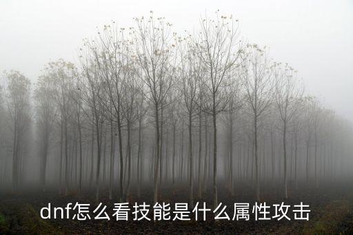 dnf怎么看技能是什么属性攻击