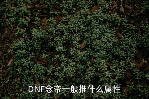 DNF念帝一般推什么属性