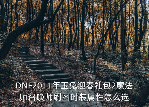 DNF2011年玉兔迎春礼包2魔法师召唤师刷图时装属性怎么选