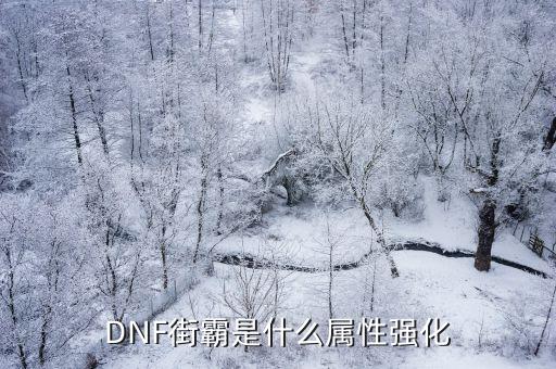 dnf街霸属于什么属性，地下城街霸是什么属性力量高