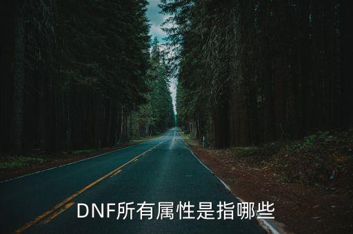 DNF所有属性是指哪些