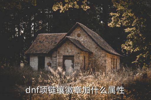 dnf徽章加什么属性，dnf漫游镶嵌徽章加什么属性