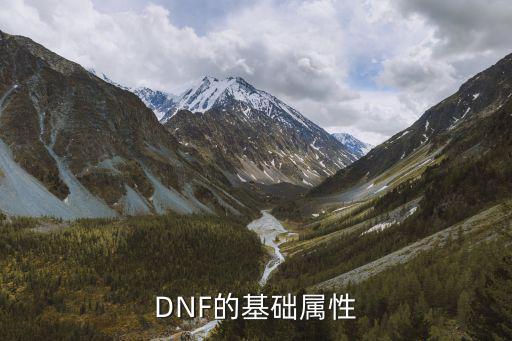 DNF的基础属性