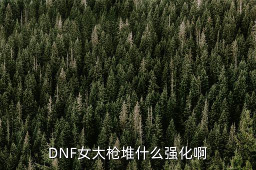 DNF女大枪堆什么强化啊