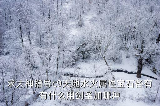 求大神指导c9天地水火属性宝石各有有什么用剑圣加哪种