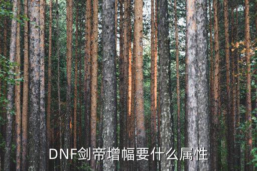 DNF剑帝增幅要什么属性