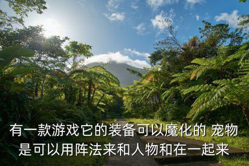 有一款游戏它的装备可以魔化的 宠物是可以用阵法来和人物和在一起来