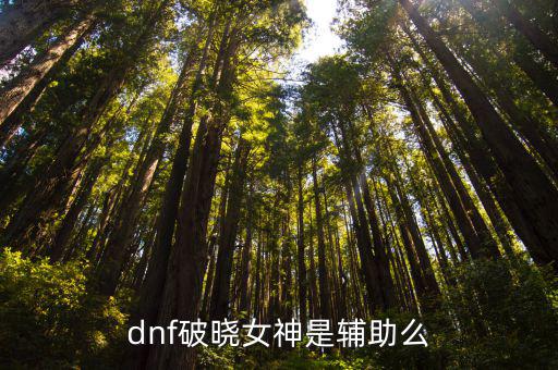 dnf破晓女神是辅助么