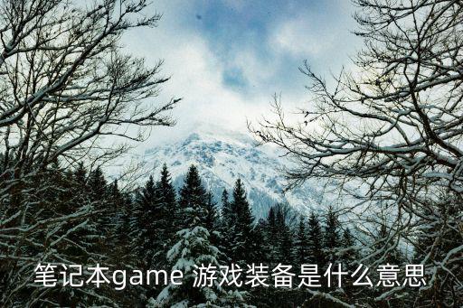 网易的游戏装备是什么样的，笔记本game 游戏装备是什么意思