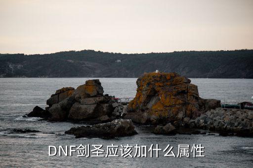 DNF剑圣应该加什么属性