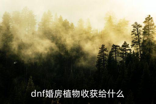 dnf植物什么属性，dnf所有植物类怪物是什么属性比如说树精