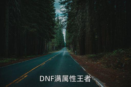 DNF满属性王者