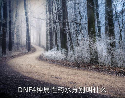 DNF4种属性药水分别叫什么