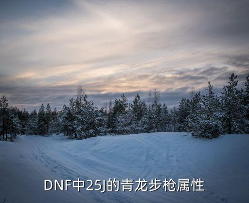 dnf龙抢什么属性，dnf 2012祥龙祈福礼包鬼剑士 阿修罗加什么属性