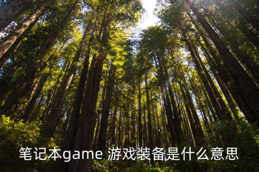 笔记本game 游戏装备是什么意思