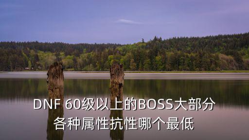 DNF 60级以上的BOSS大部分各种属性抗性哪个最低