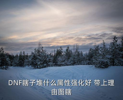 DNF瞎子堆什么属性强化好 带上理由图瞎