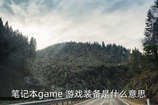 笔记本game 游戏装备是什么意思