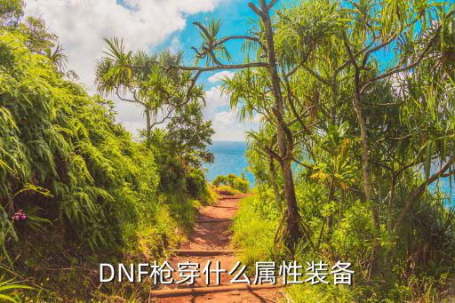 DNF枪穿什么属性装备