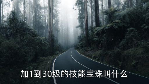 dnf技能宝珠什么属性，加1到30级的技能宝珠叫什么