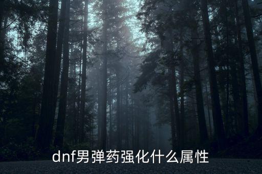 dnf男弹药强化什么属性