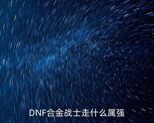 DNF合金战士走什么属强