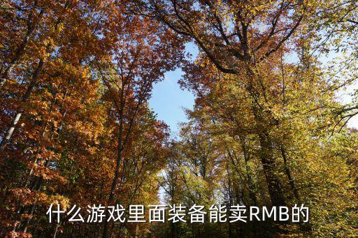 什么游戏里面装备能卖RMB的