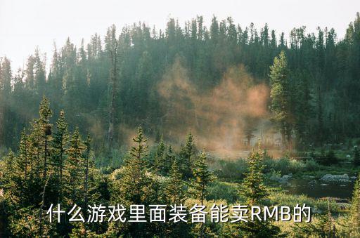 什么游戏里面装备能卖RMB的