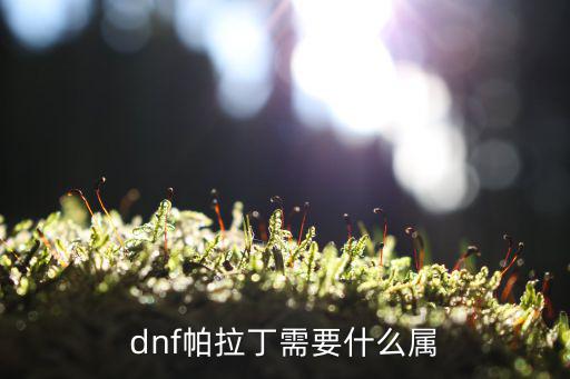 dnf帕拉丁需要什么属