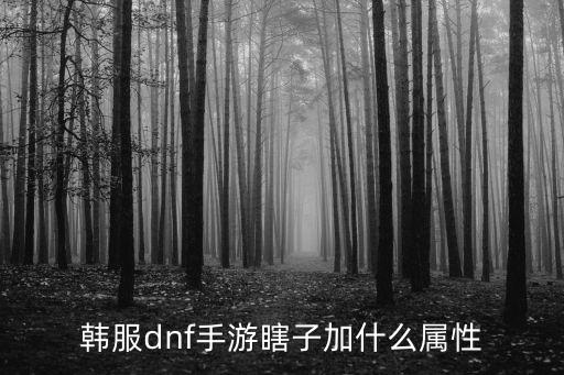 韩服dnf手游瞎子加什么属性