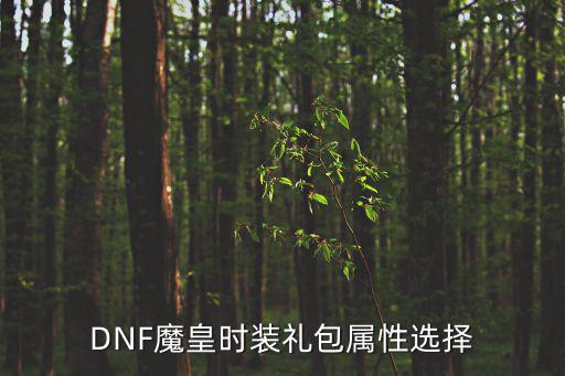 DNF魔皇时装礼包属性选择