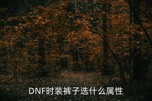 dnf短裤什么属性，DNF时装裤子选什么属性好