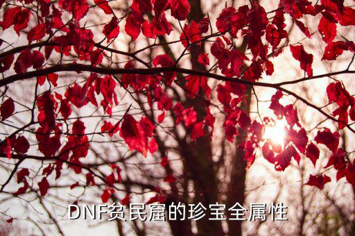 DNF贫民窟的珍宝全属性