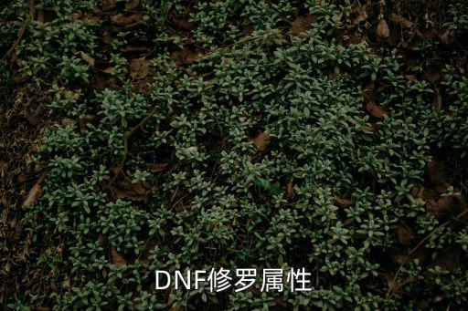 DNF修罗属性