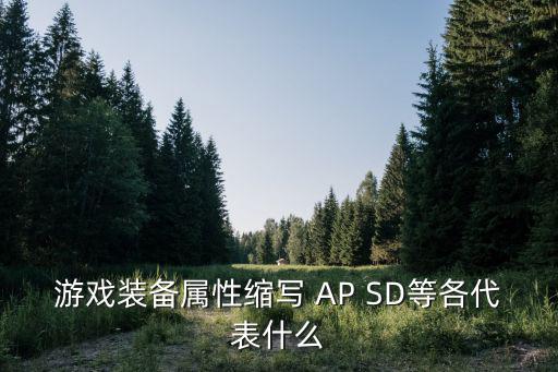 游戏装备属性缩写 AP SD等各代表什么