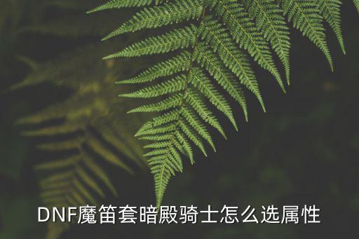 DNF魔笛套暗殿骑士怎么选属性