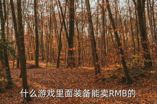 什么游戏里面装备能卖RMB的