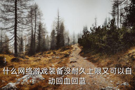 什么网络游戏装备没耐久上限又可以自动回血回蓝