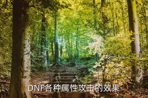 DNF各种属性攻击的效果