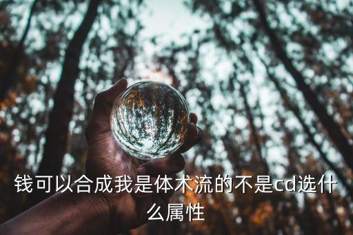 钱可以合成我是体术流的不是cd选什么属性