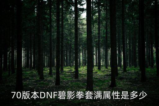 70版本DNF碧影拳套满属性是多少