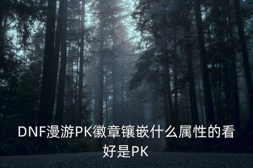 DNF漫游PK徽章镶嵌什么属性的看好是PK