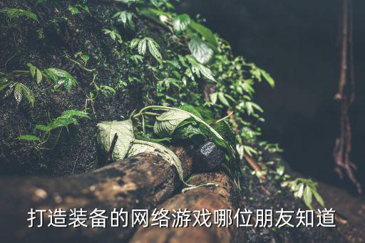 打造装备的网络游戏哪位朋友知道