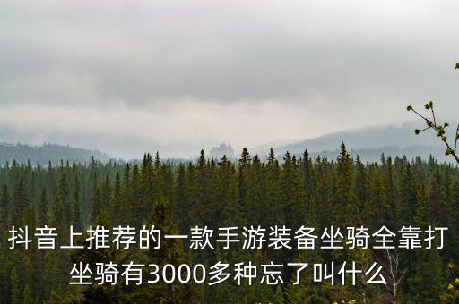 有没有什么游戏装备坐骑全靠打，有什么网络游戏可以骑着坐骑打怪的