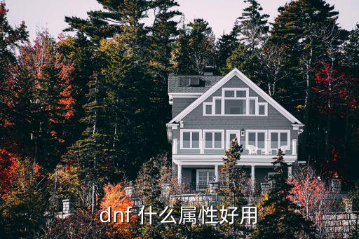 dnf 什么属性好用