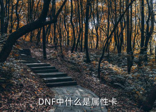 DNF中什么是属性卡